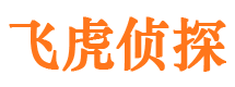 开福市侦探调查公司